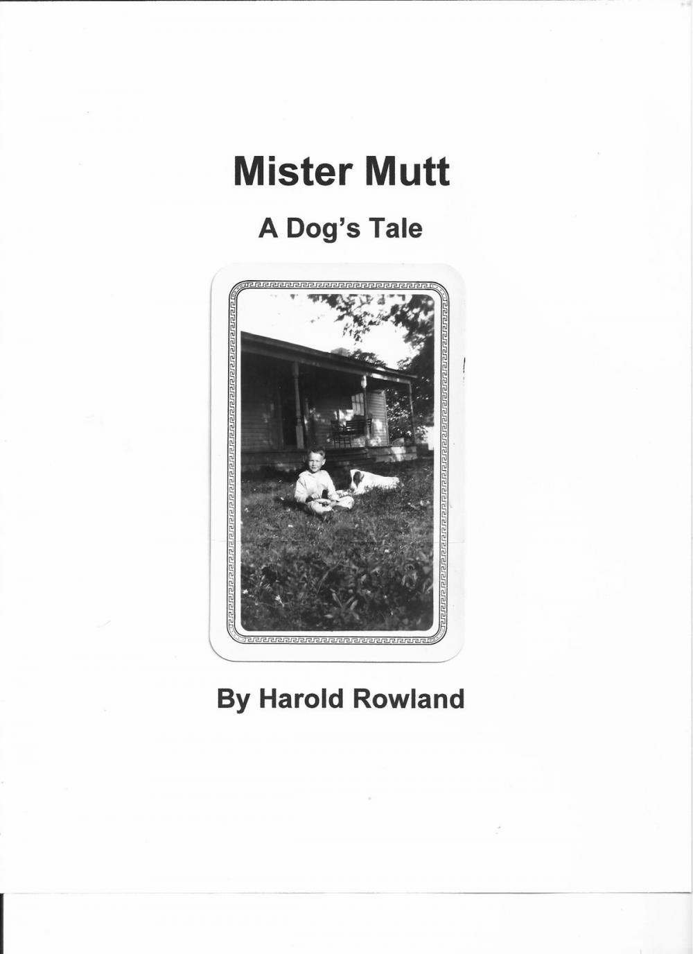 Big bigCover of Mister Mutt: A Dog's Tale