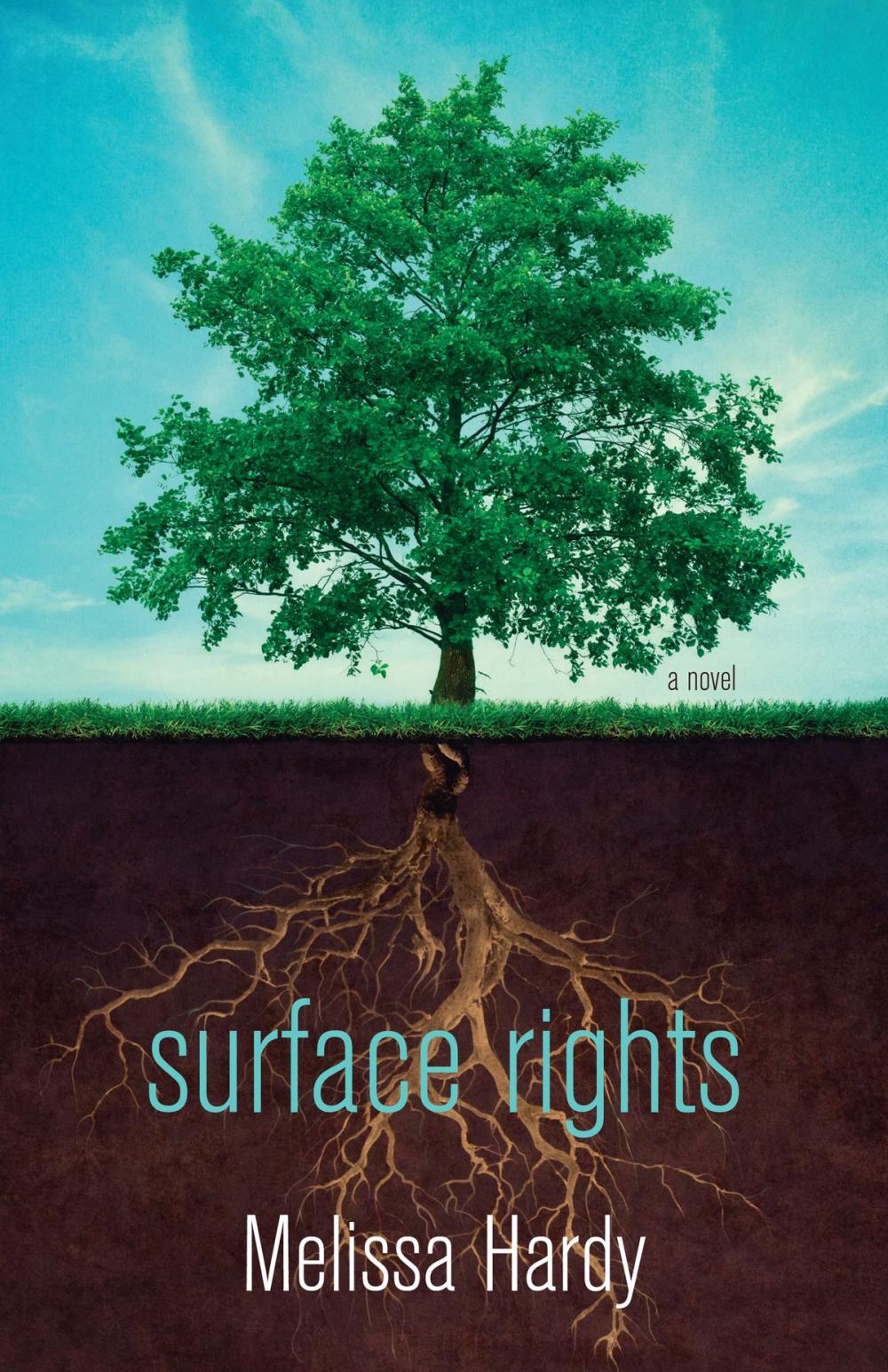 Big bigCover of Surface Rights