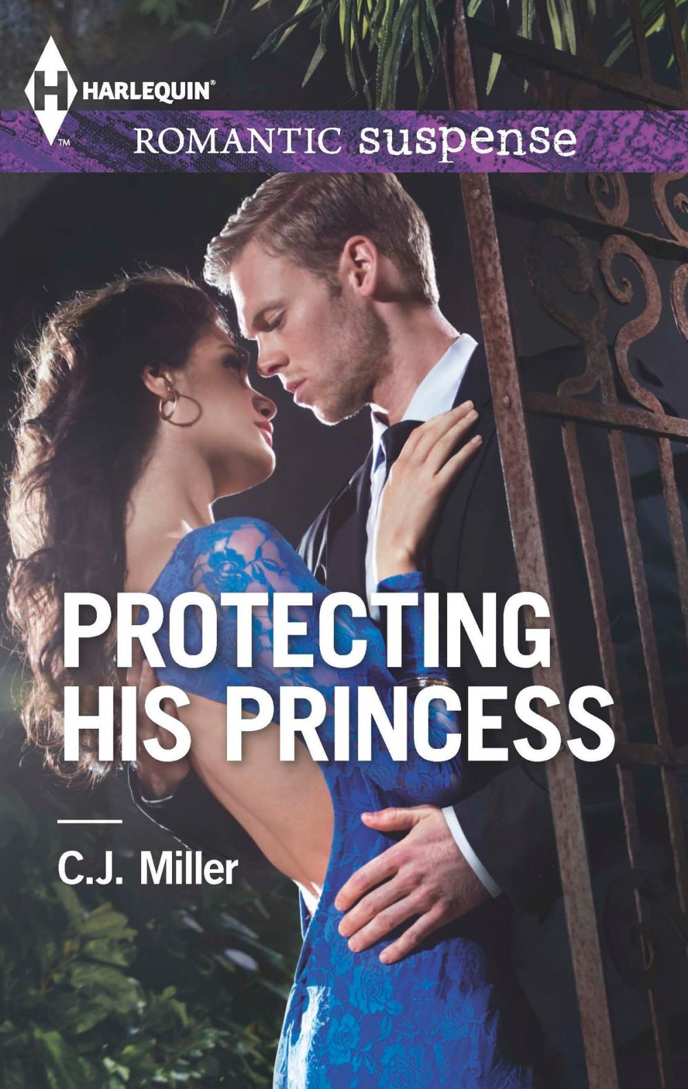 Big bigCover of Protecting His Princess