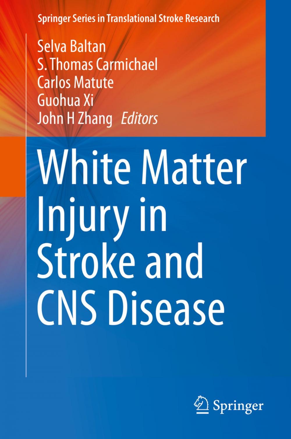 Big bigCover of White Matter Injury in Stroke and CNS Disease