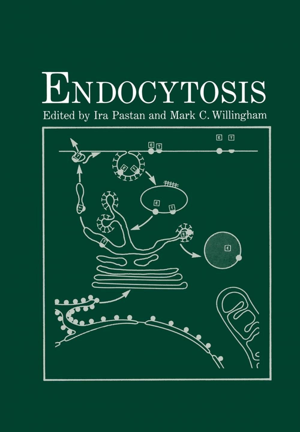 Big bigCover of Endocytosis