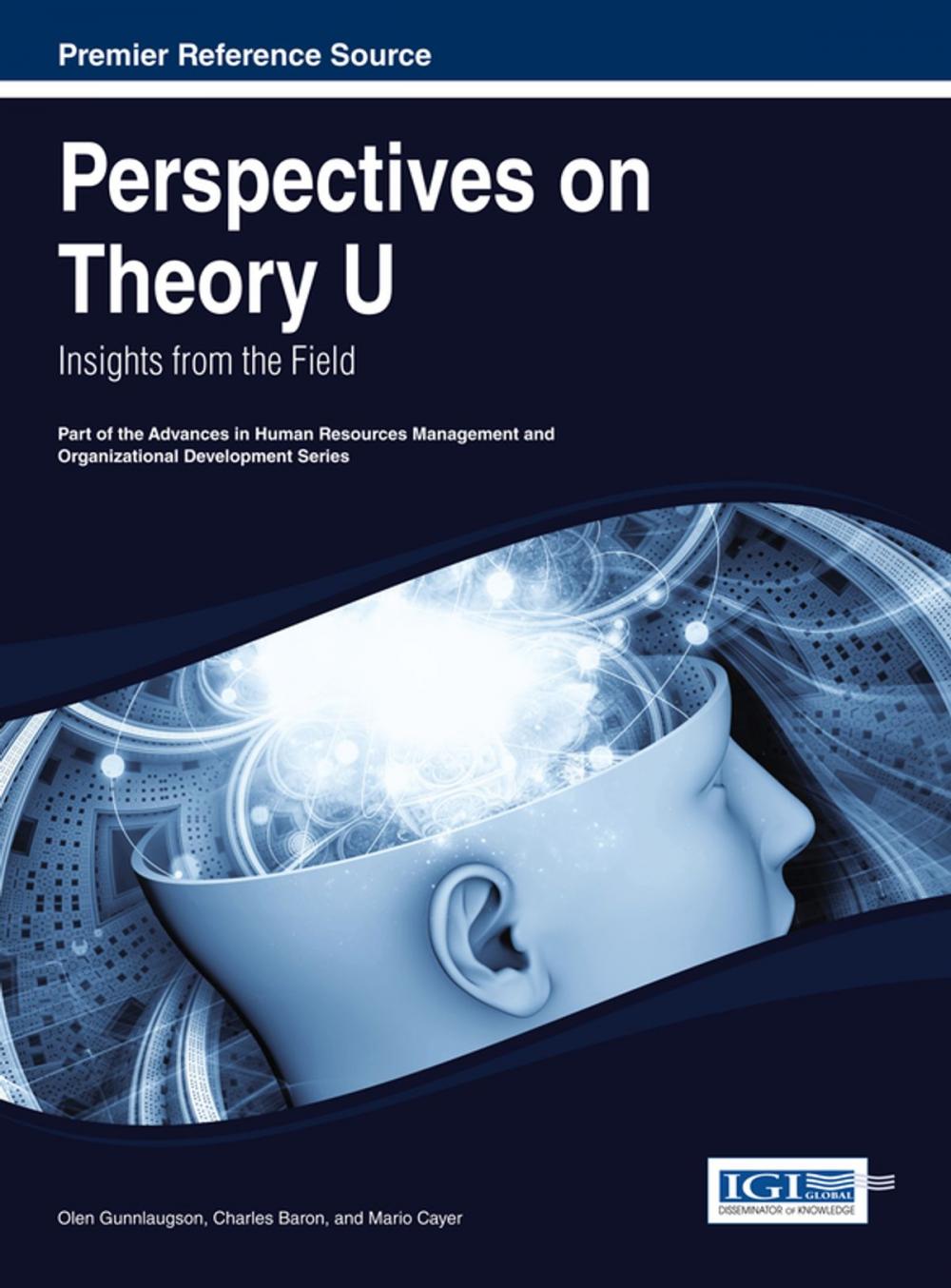 Big bigCover of Perspectives on Theory U