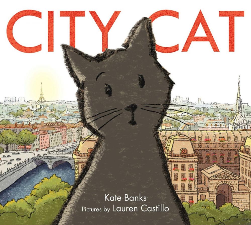 Big bigCover of City Cat