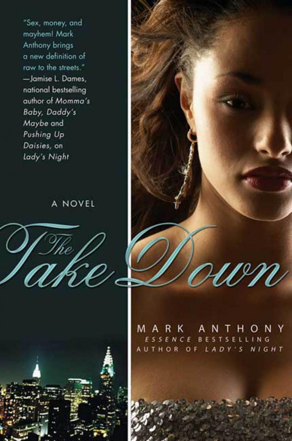 Big bigCover of The Take Down