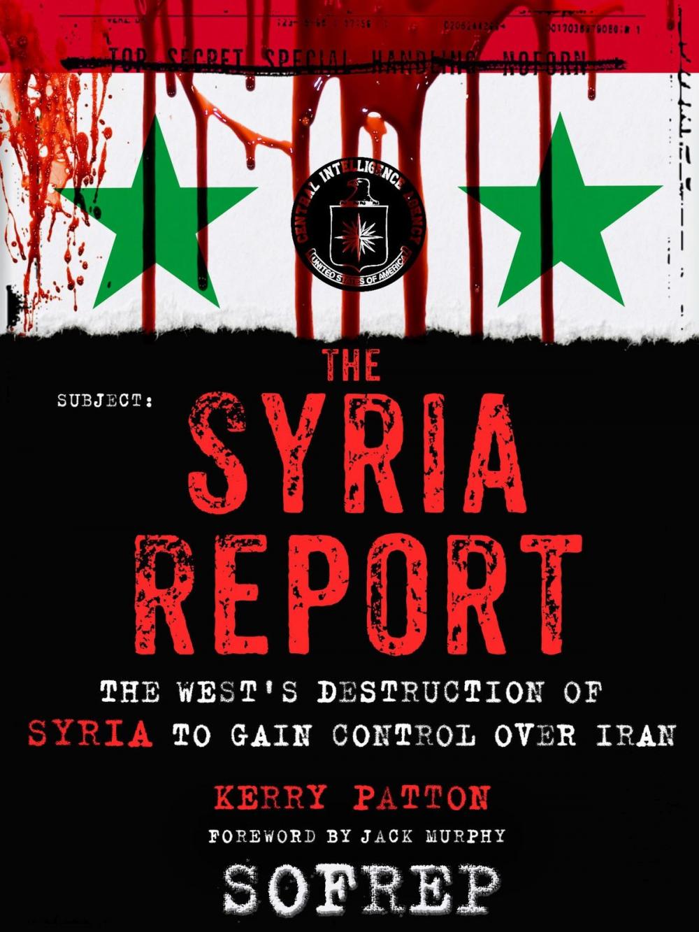 Big bigCover of The Syria Report