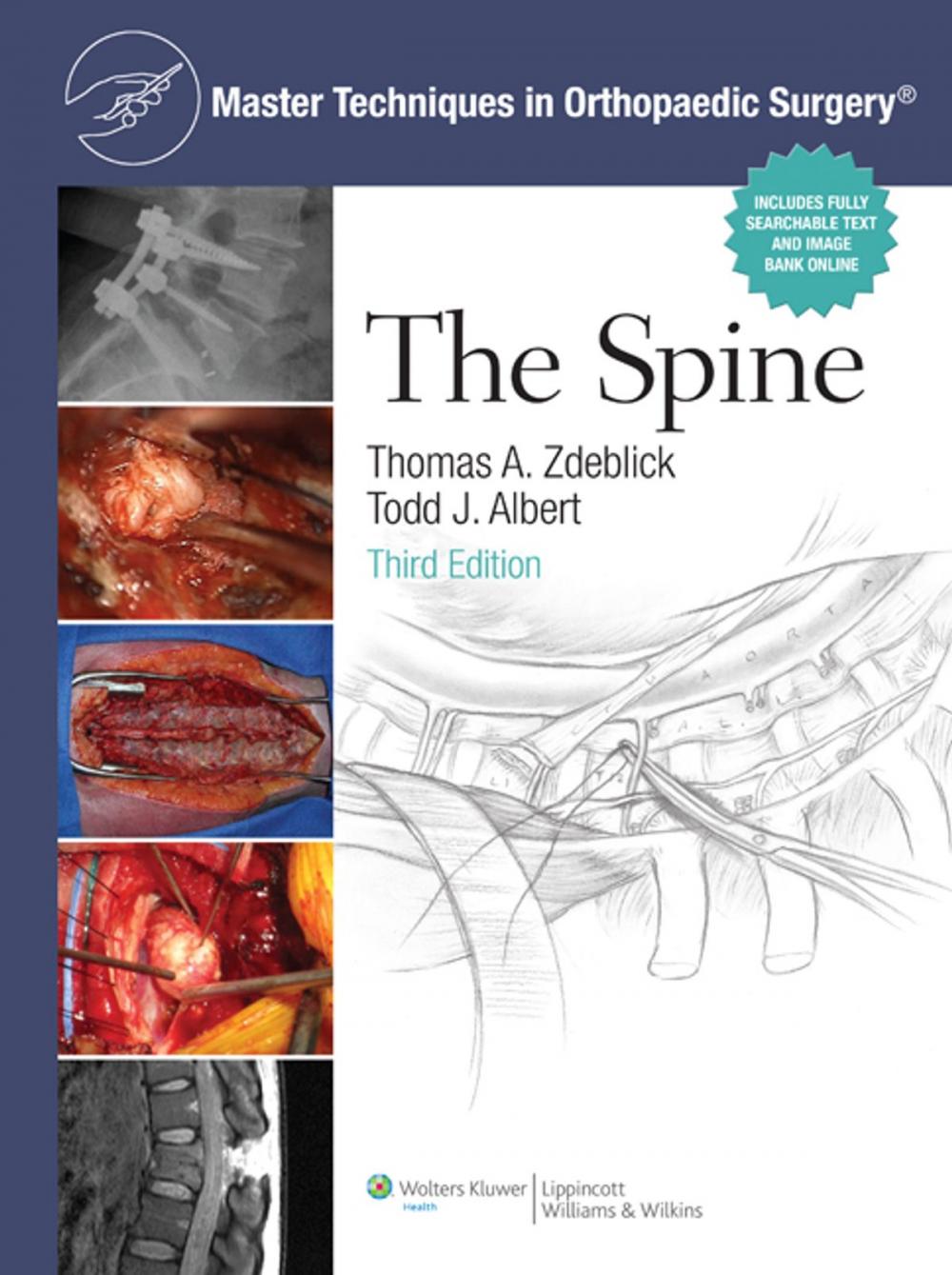 Big bigCover of Master Techniques in Orthopaedic Surgery: The Spine