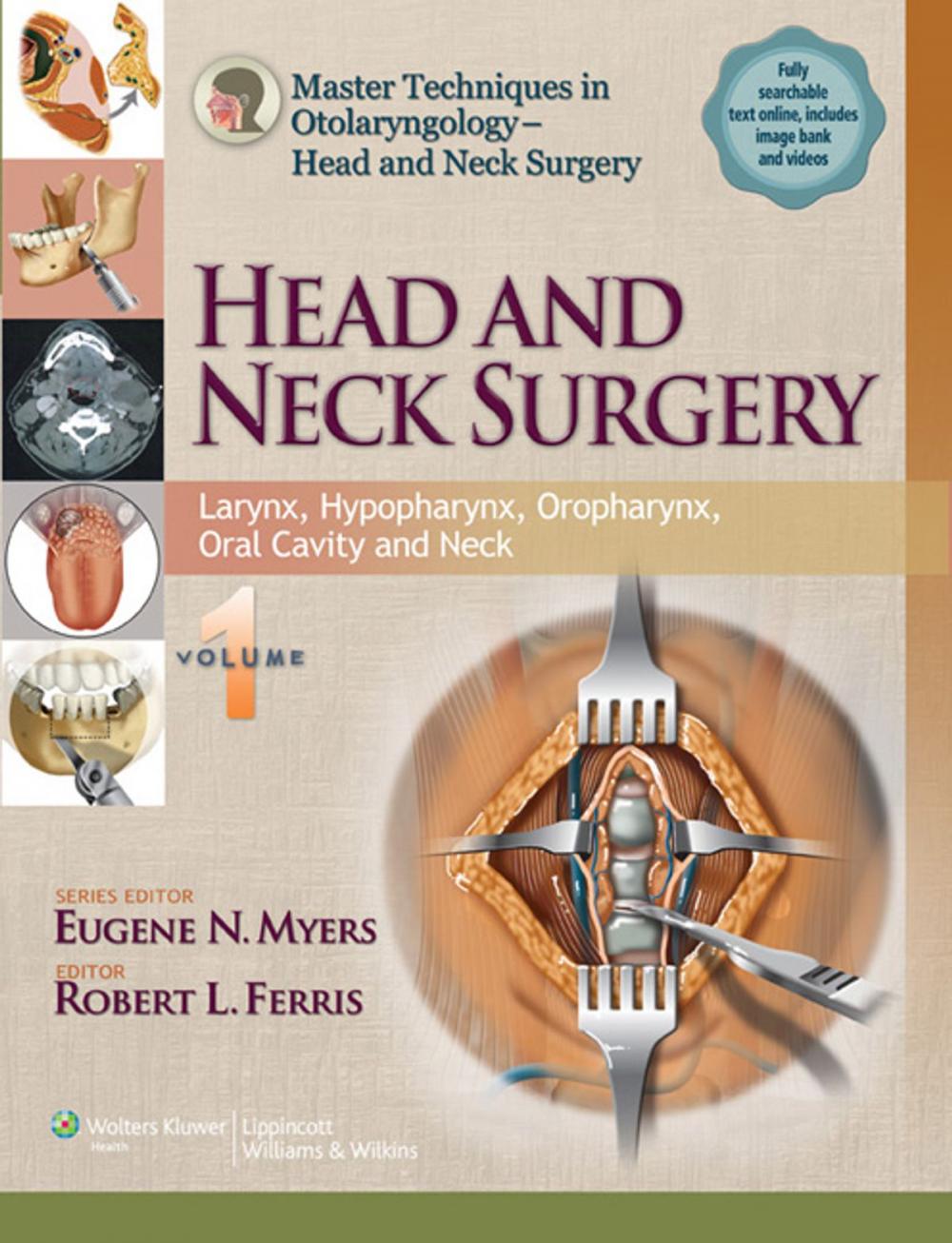 Big bigCover of Master Techniques in Otolaryngology - Head and Neck Surgery: Head and Neck Surgery