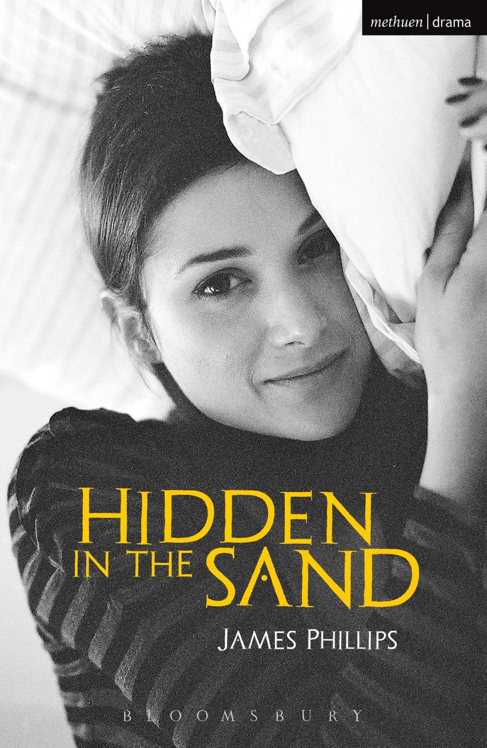 Big bigCover of Hidden in the Sand