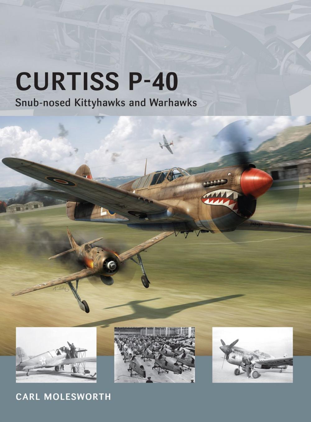 Big bigCover of Curtiss P-40