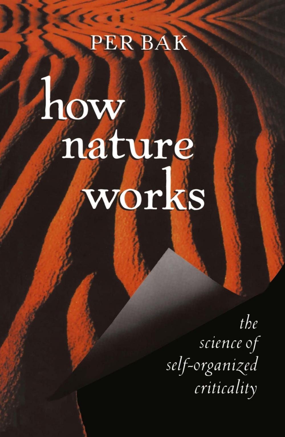 Big bigCover of How Nature Works