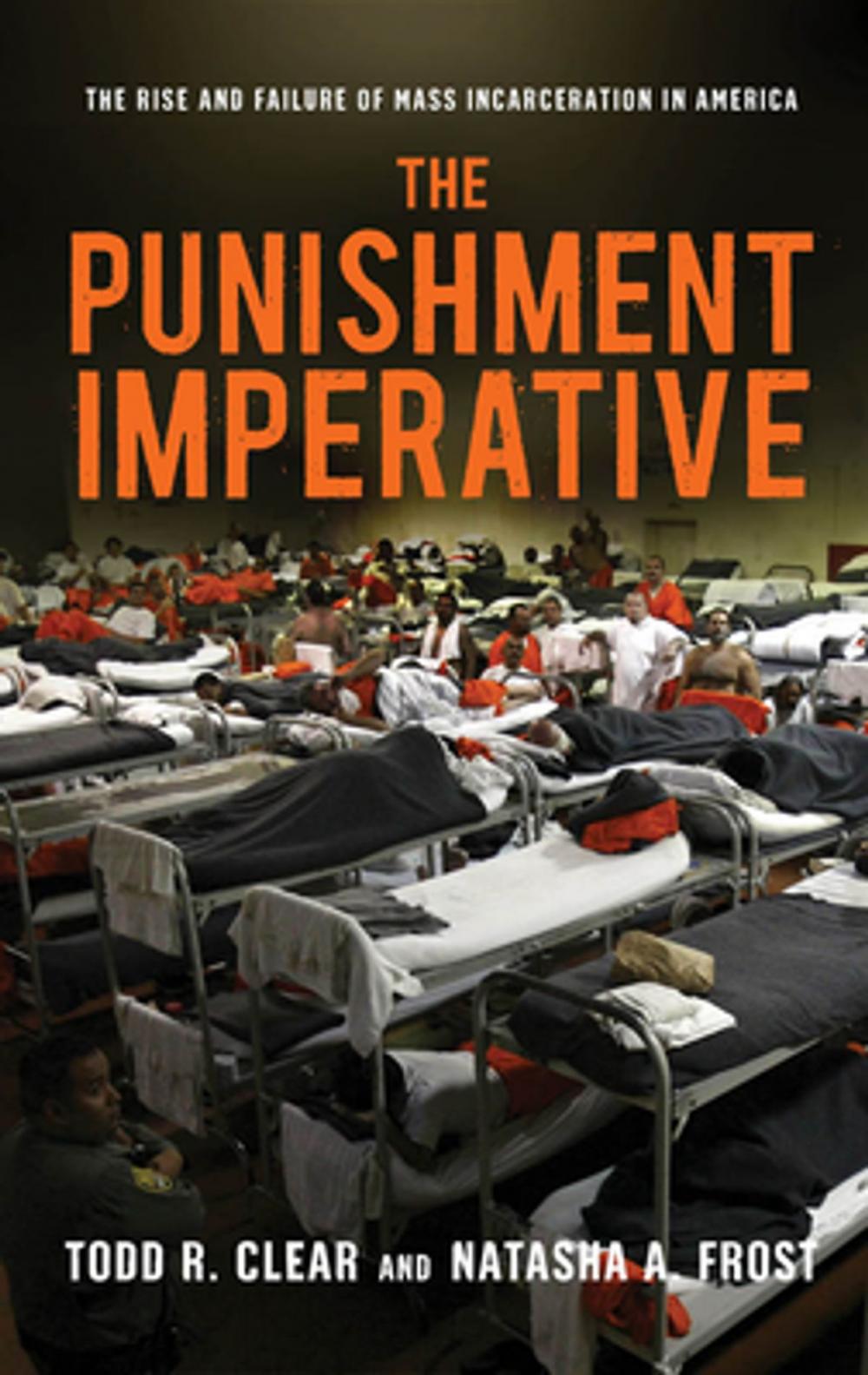 Big bigCover of The Punishment Imperative