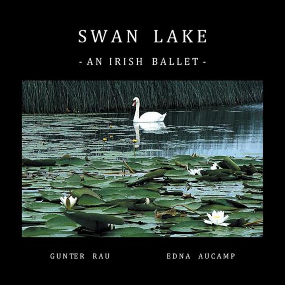 Big bigCover of Swan Lake