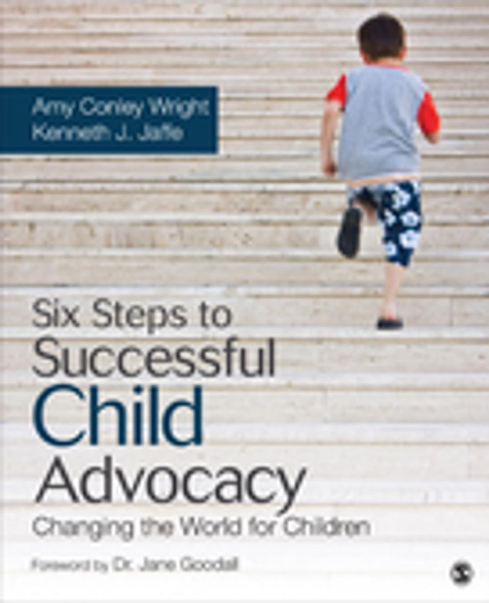 Big bigCover of Six Steps to Successful Child Advocacy