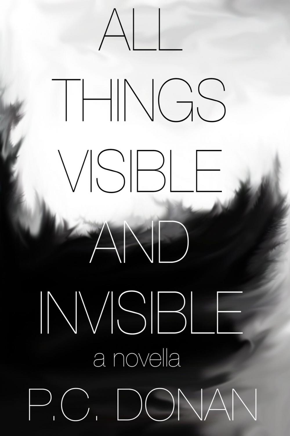 Big bigCover of All Things Visible and Invisible