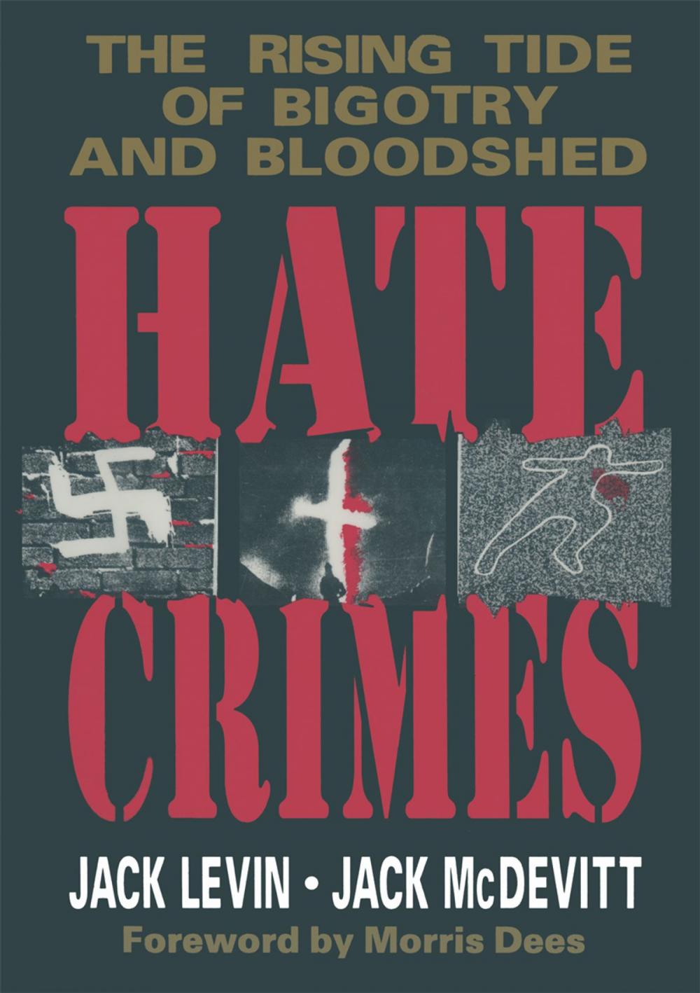 Big bigCover of Hate Crimes