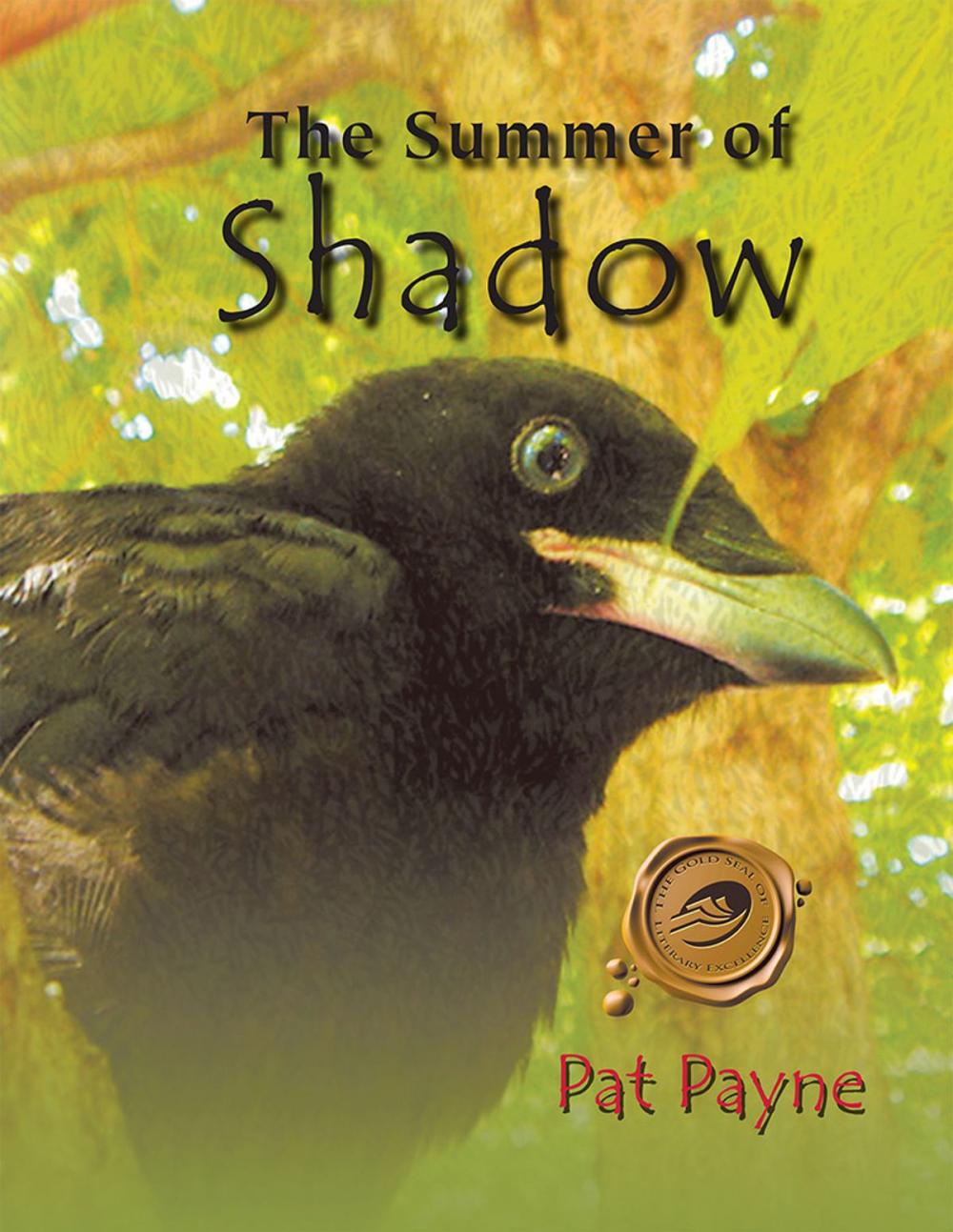 Big bigCover of The Summer of Shadow