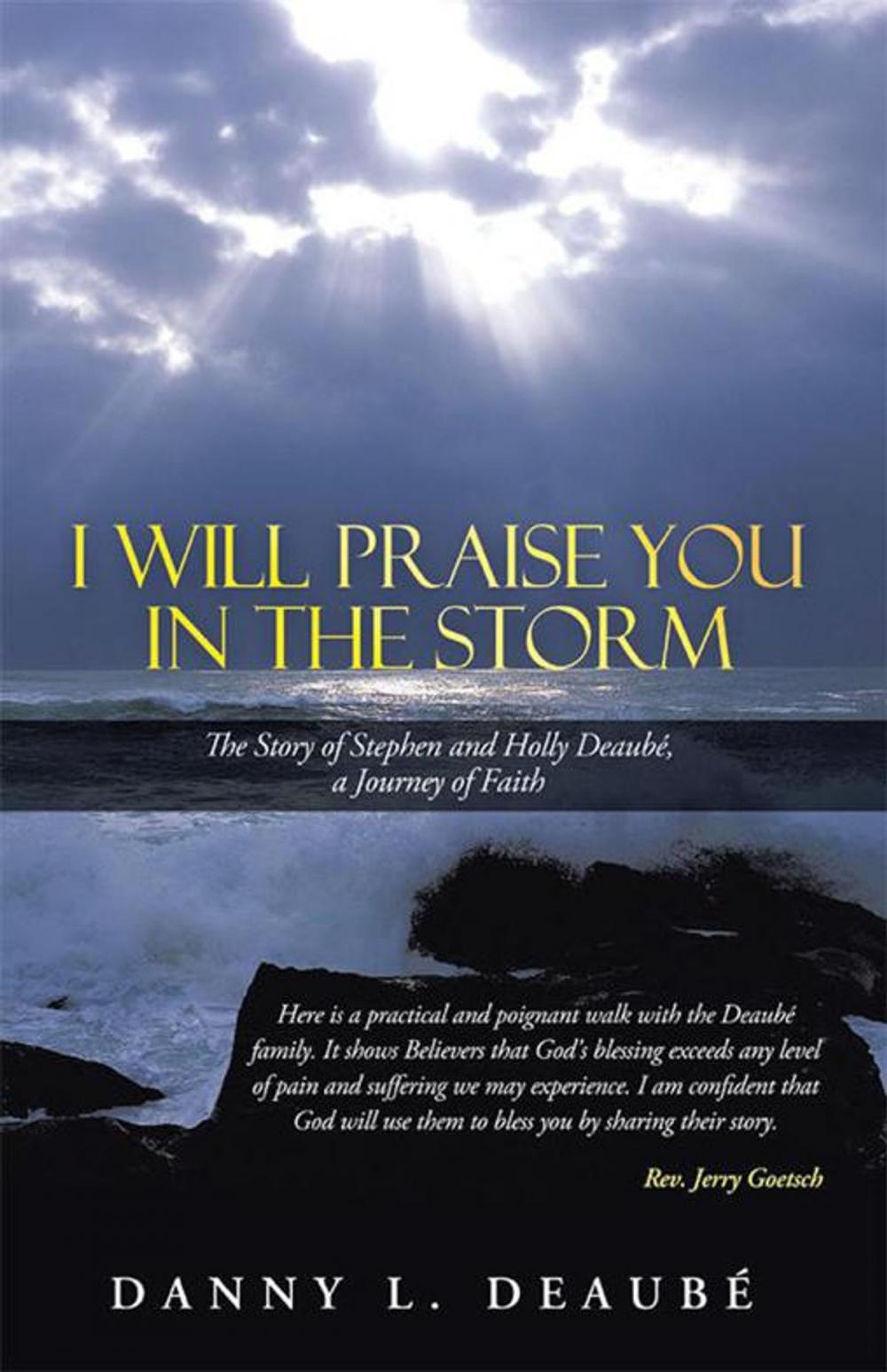 Big bigCover of I Will Praise You in the Storm