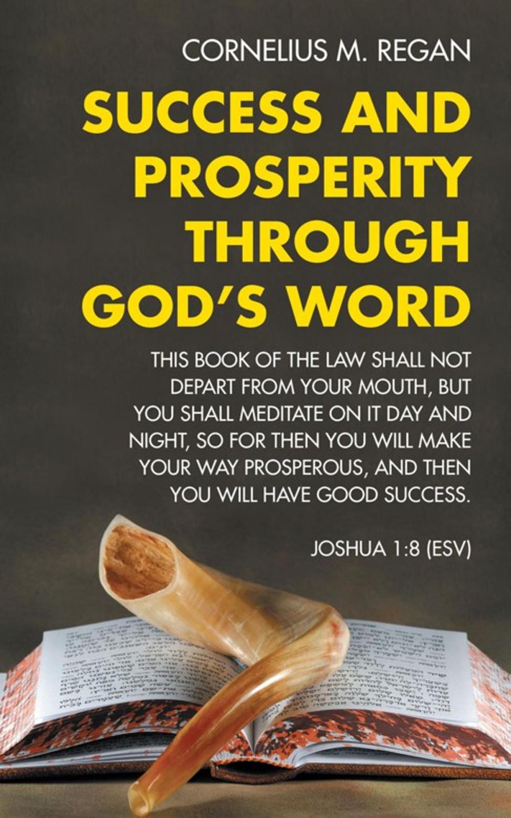 Big bigCover of Success and Prosperity Through God's Word