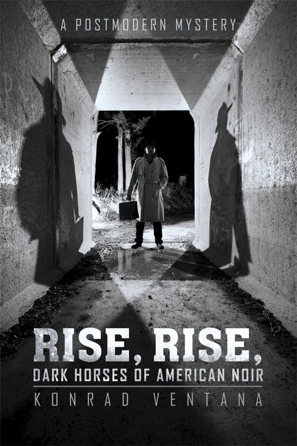 Big bigCover of Rise, Rise, Dark Horses of American Noir