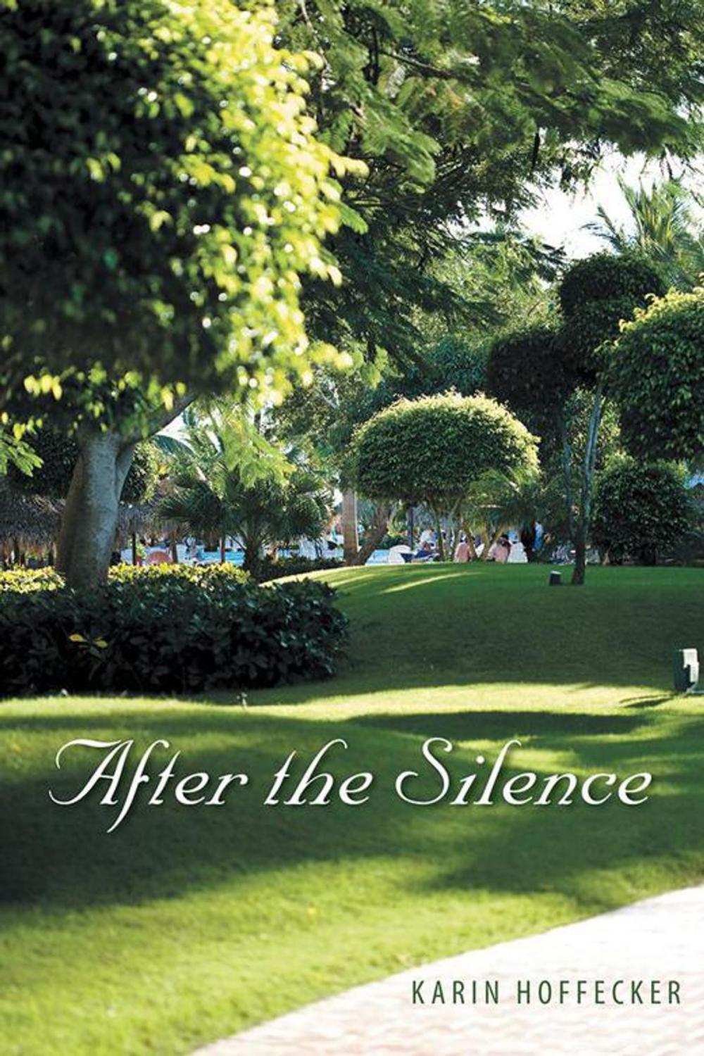 Big bigCover of After the Silence