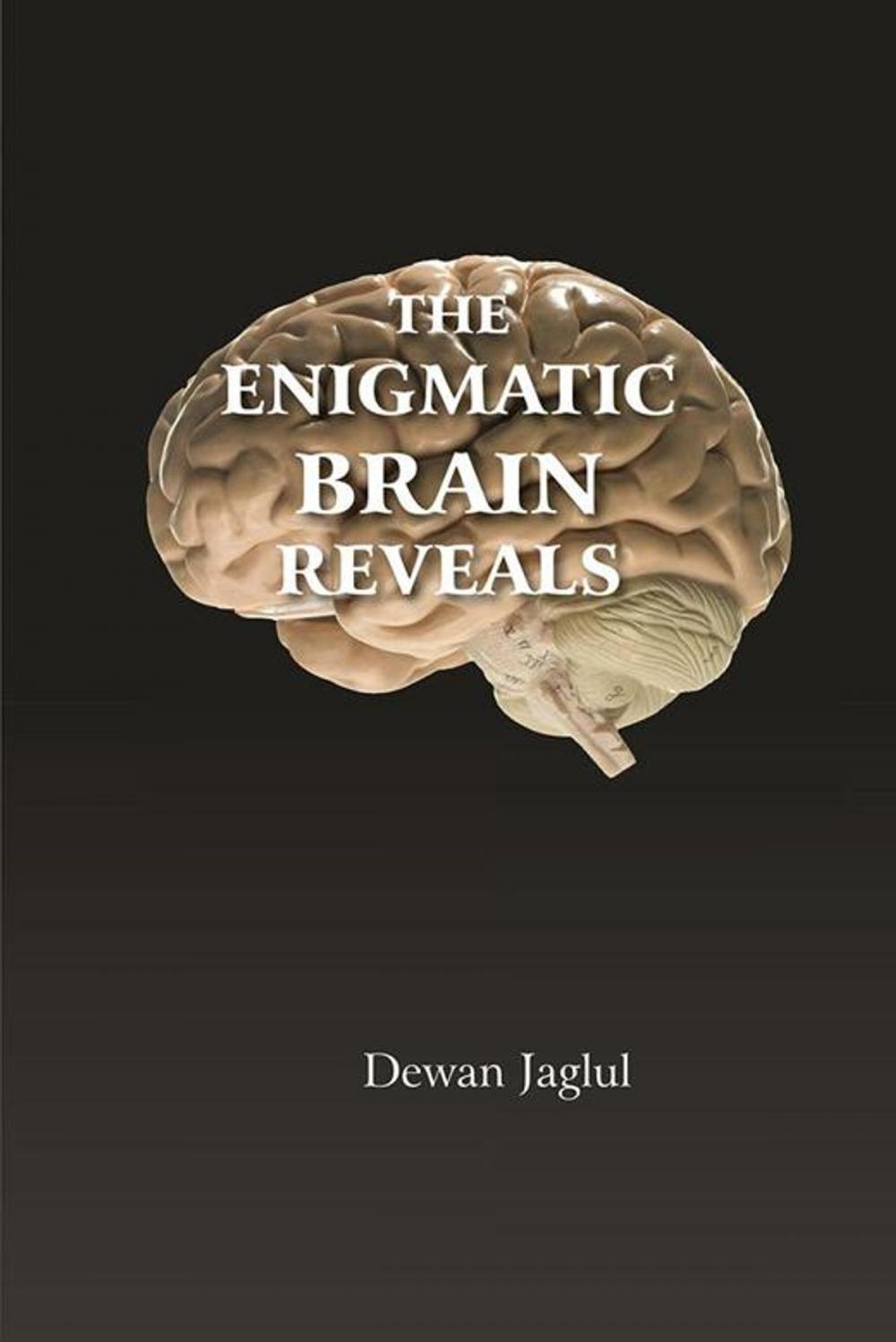 Big bigCover of The Enigmatic Brain Reveals