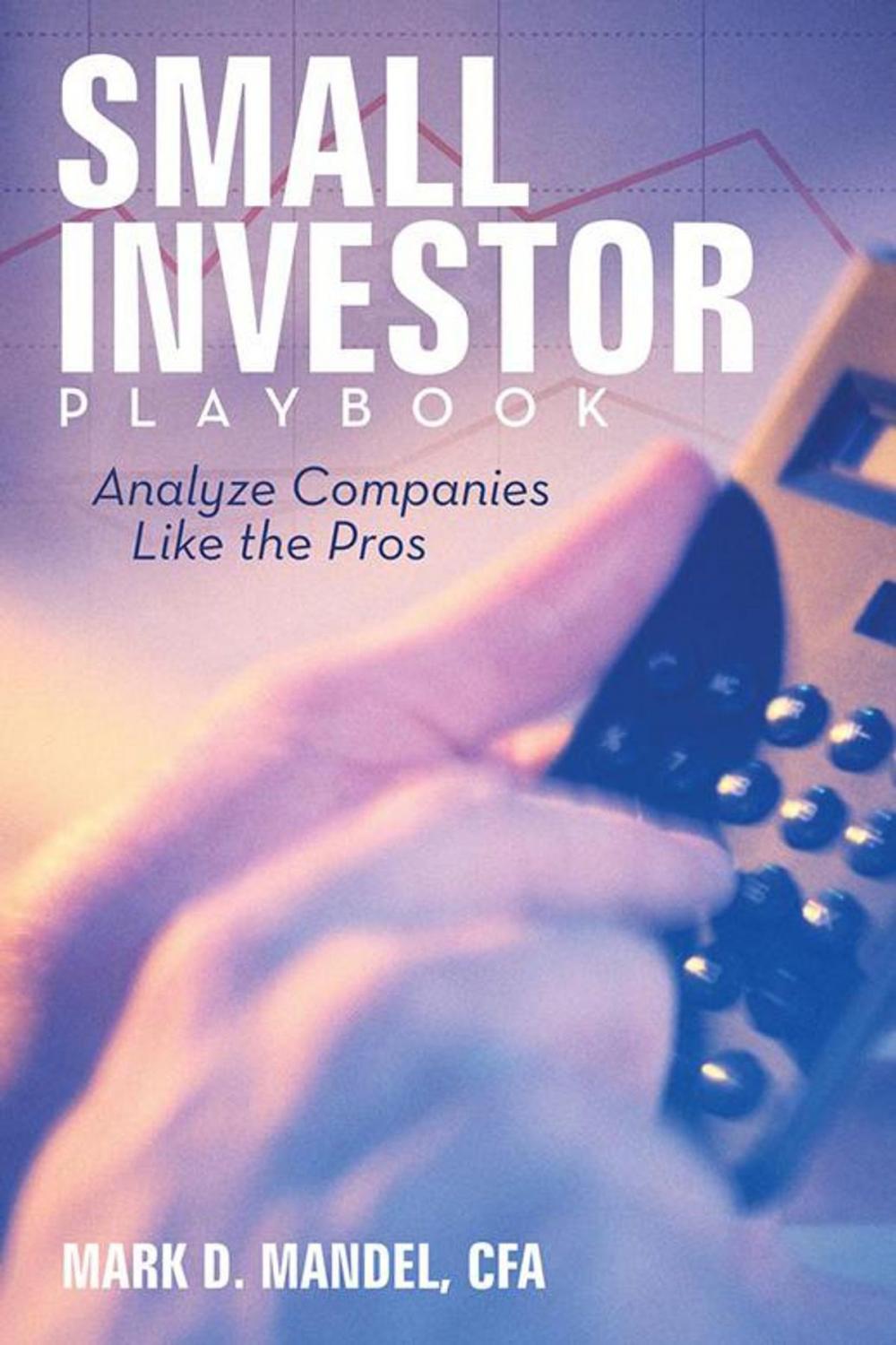 Big bigCover of Small Investor Playbook