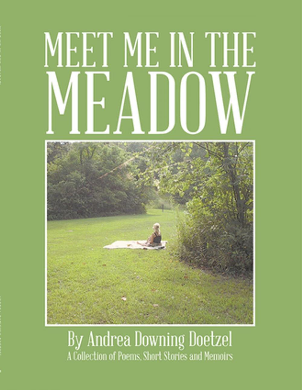 Big bigCover of Meet Me in the Meadow