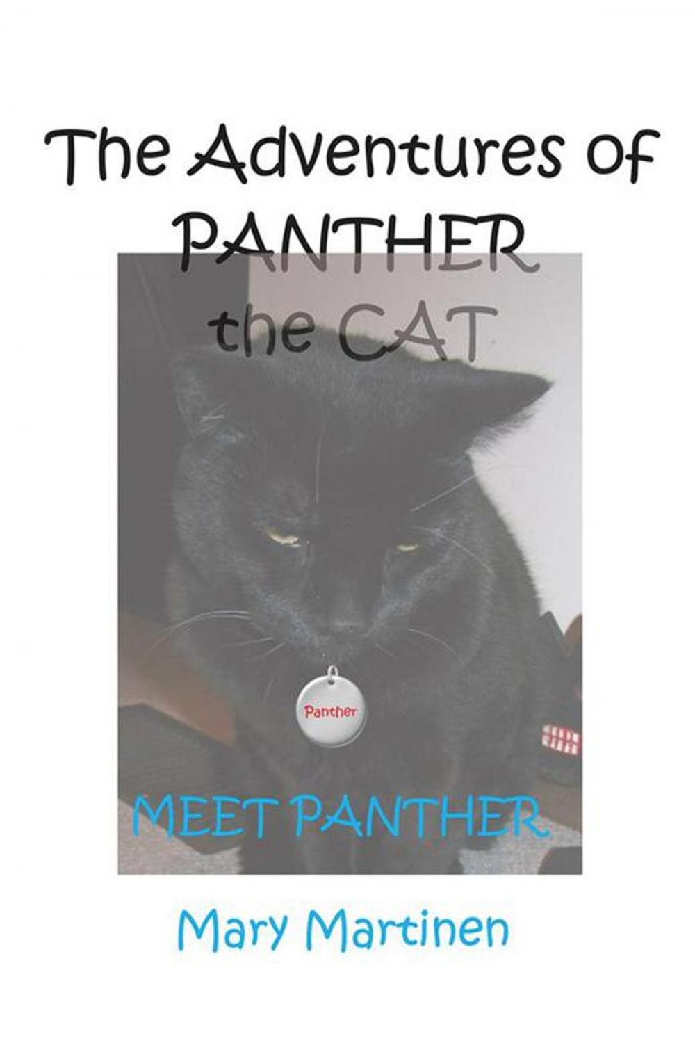 Big bigCover of The Adventures of Panther the Cat