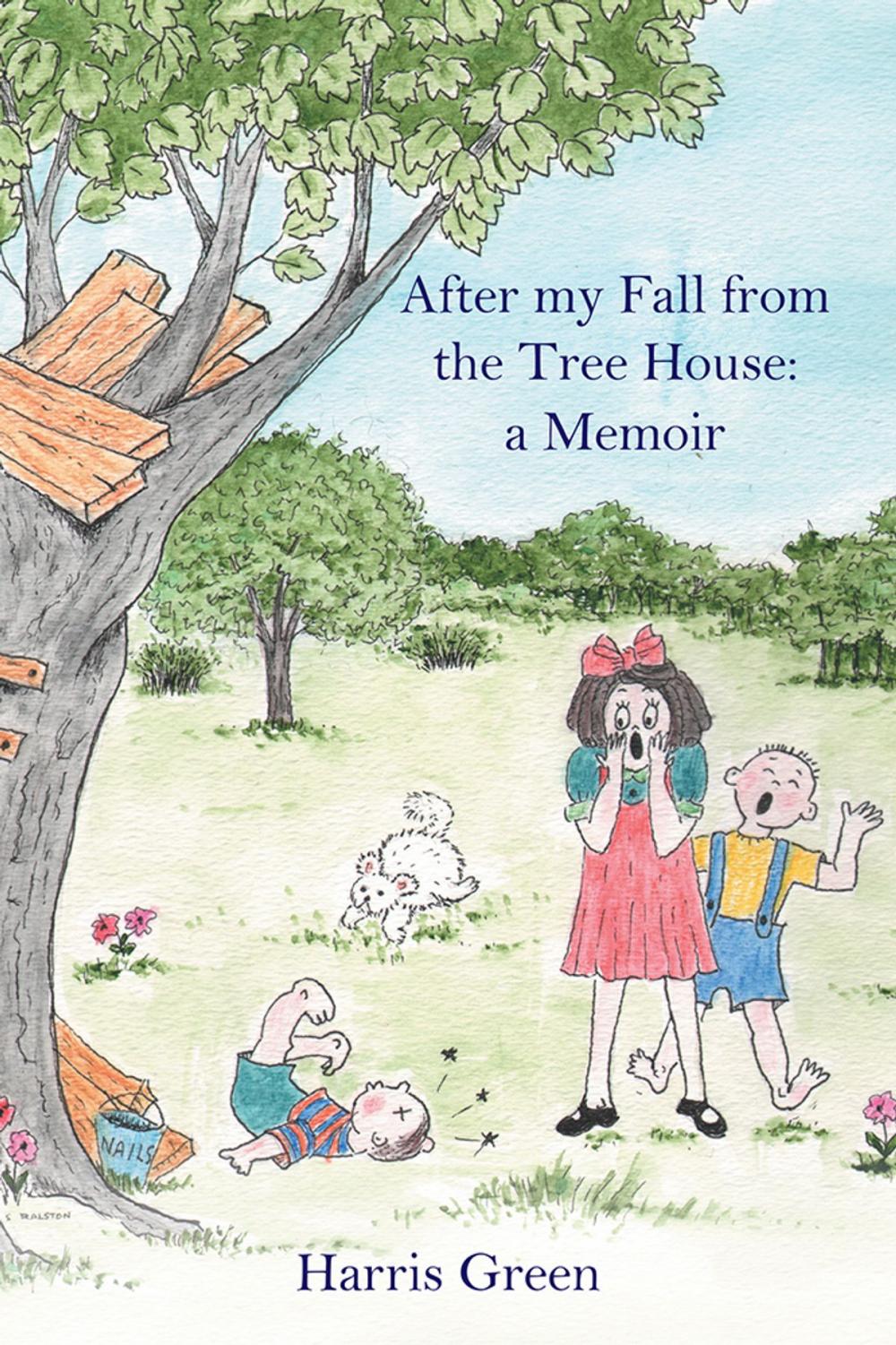 Big bigCover of After My Fall from the Tree House: