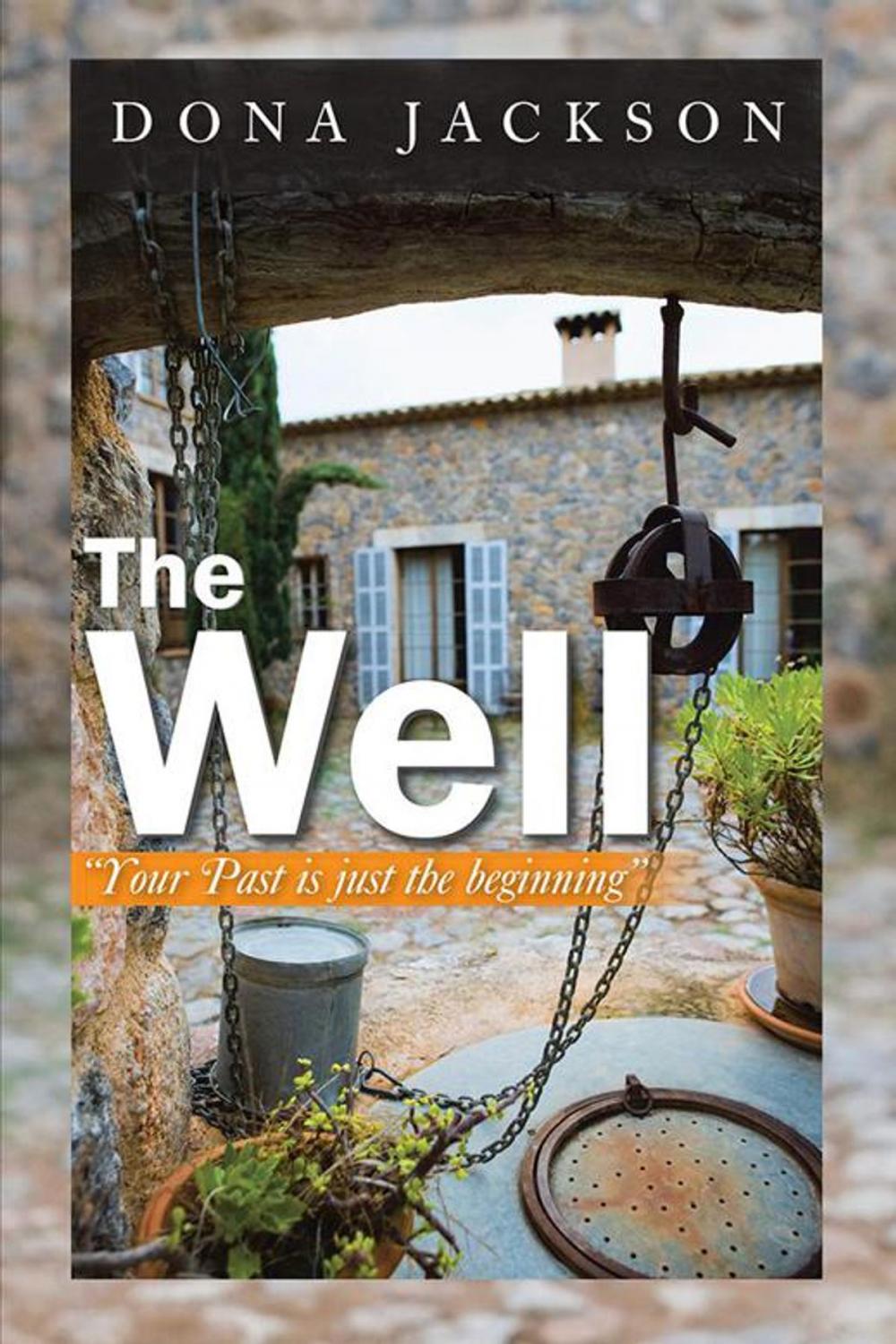 Big bigCover of The Well