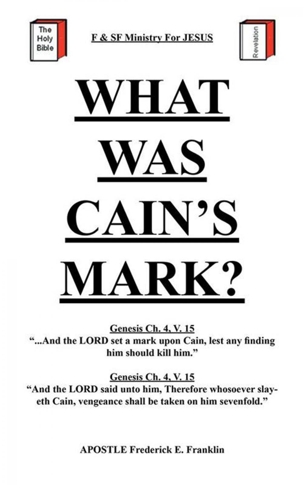 Big bigCover of What Was Cain's Mark?