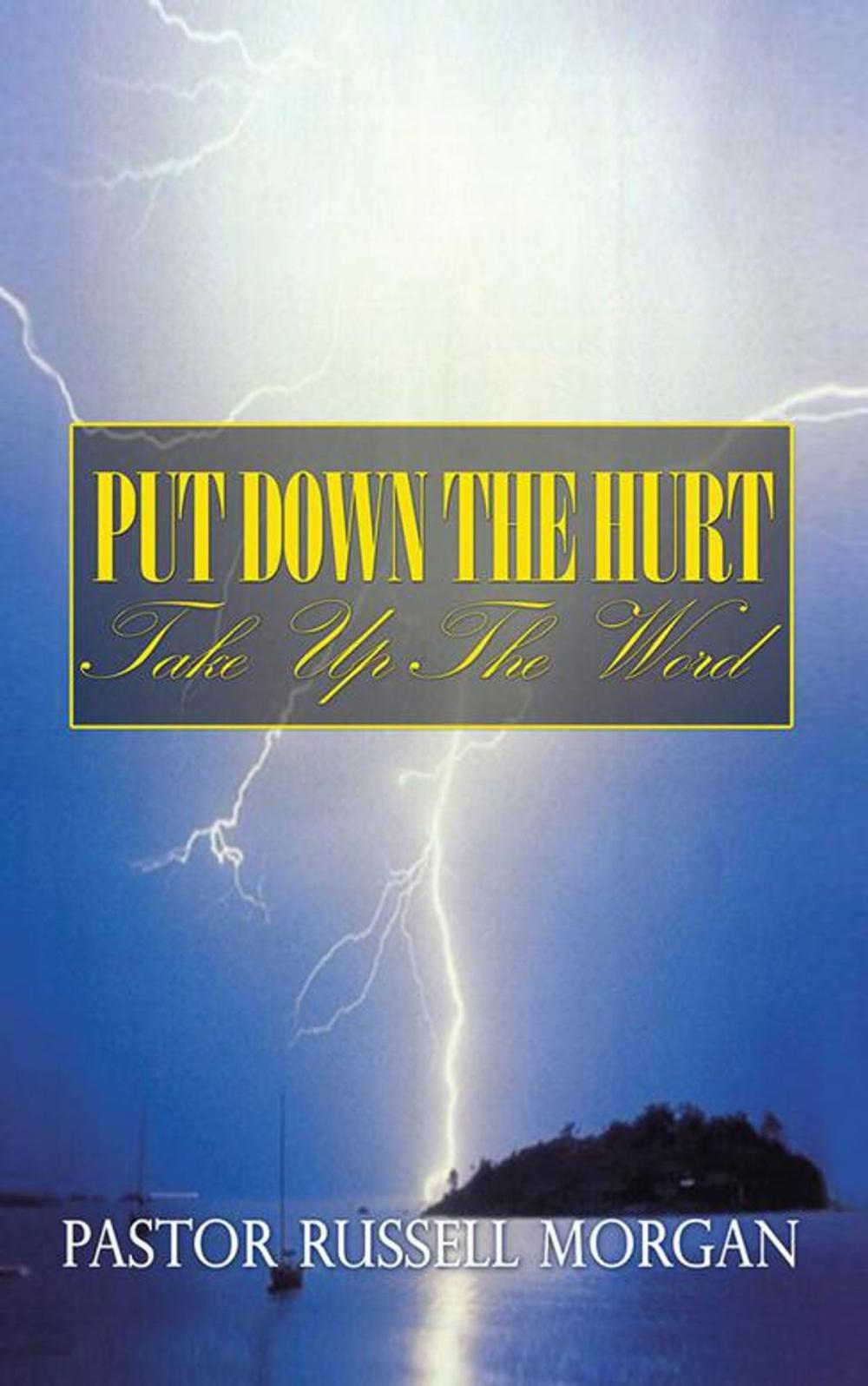 Big bigCover of Put Down the Hurt