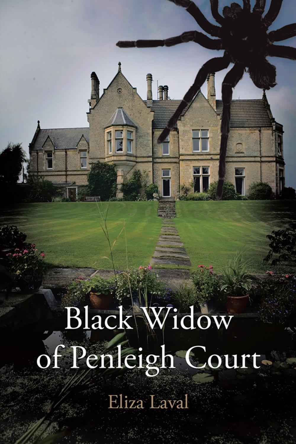 Big bigCover of Black Widow of Penleigh Court