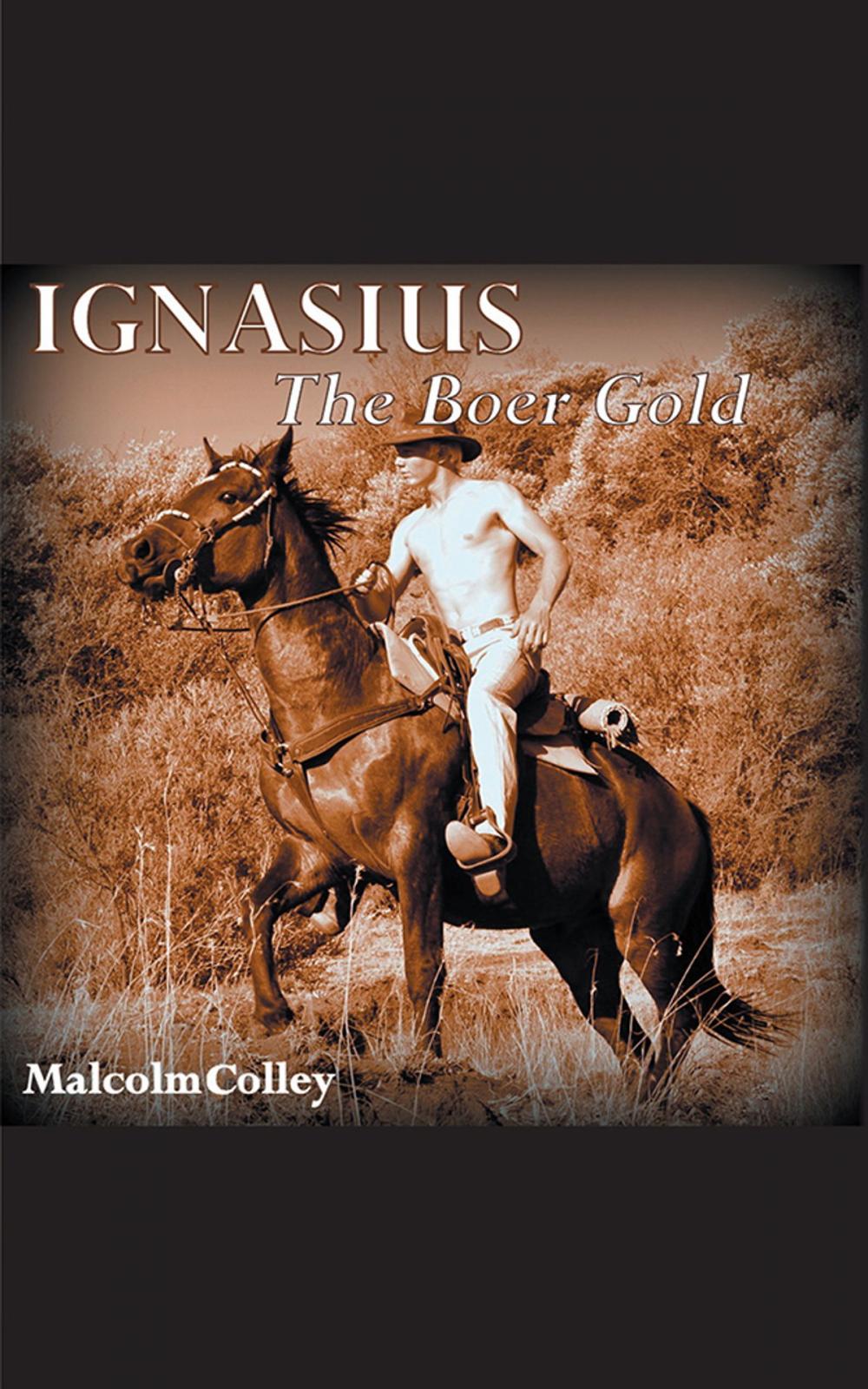 Big bigCover of Ignasius: the Boer Gold