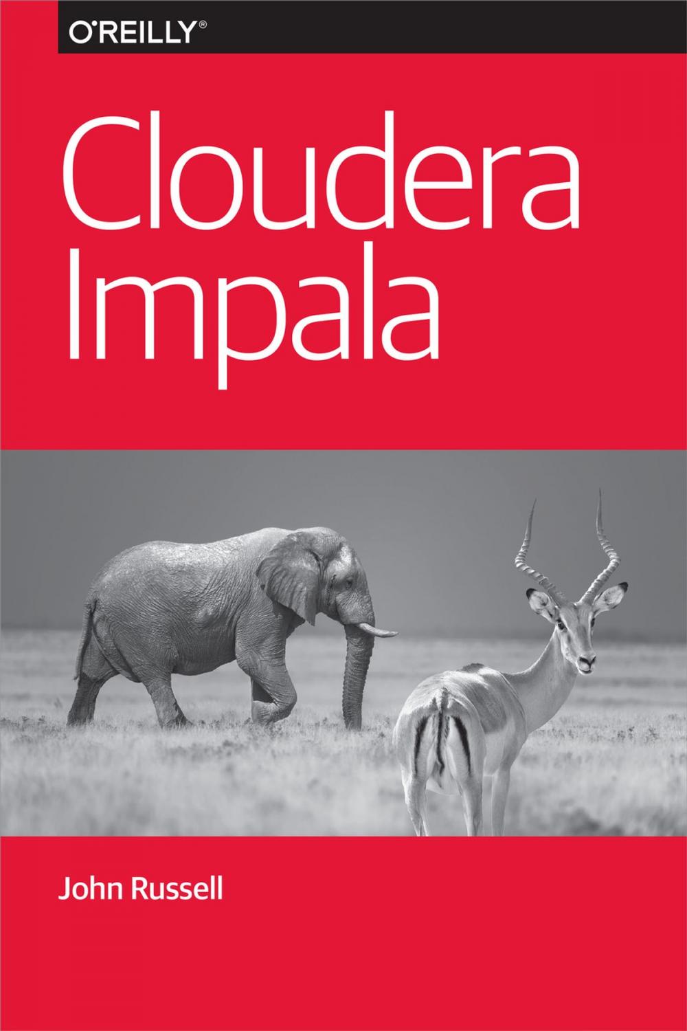 Big bigCover of Cloudera Impala