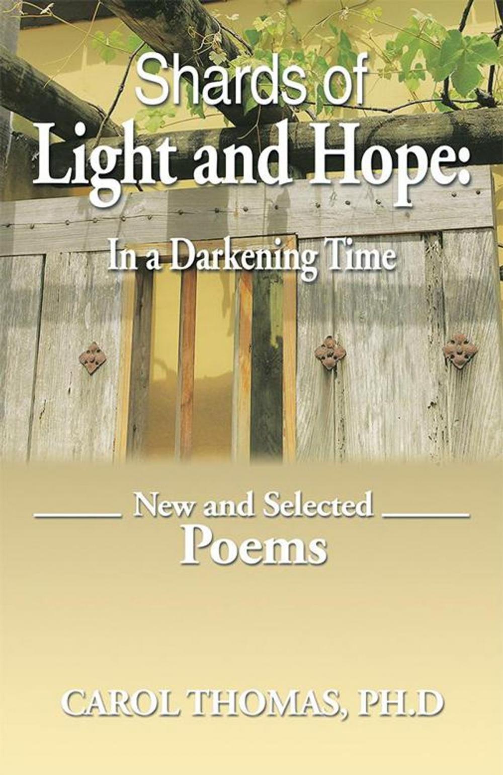 Big bigCover of Shards of Light and Hope: in a Darkening Time