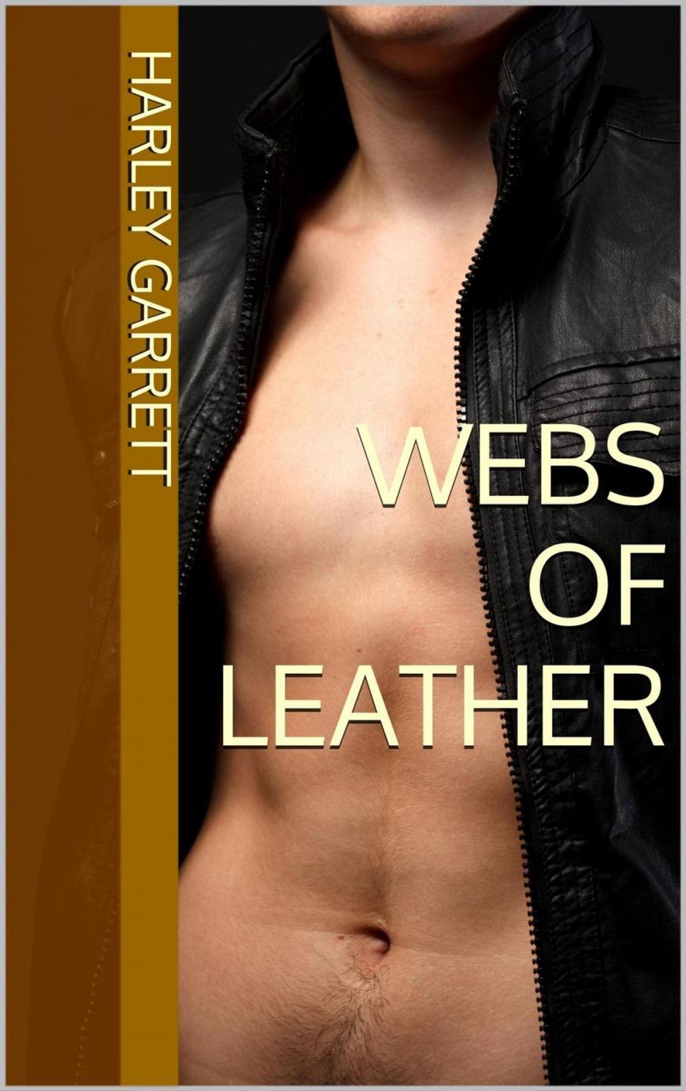 Big bigCover of Webs of Leather