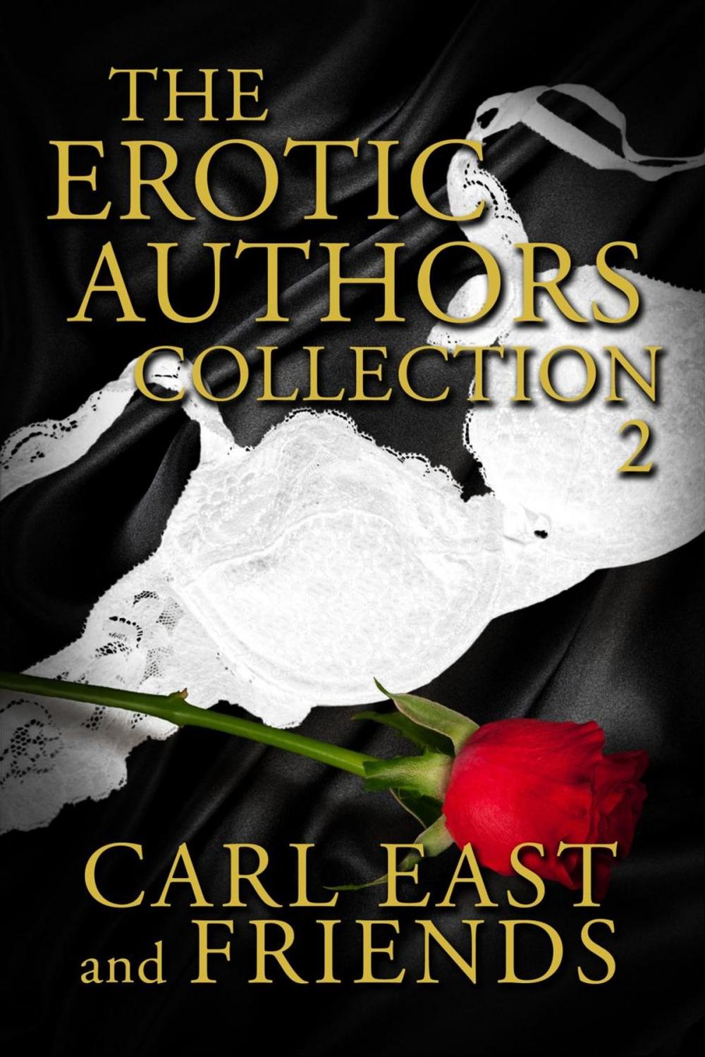 Big bigCover of The Erotic Authors Collection 2