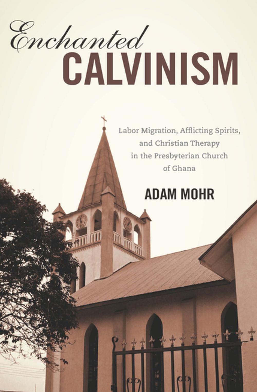 Big bigCover of Enchanted Calvinism