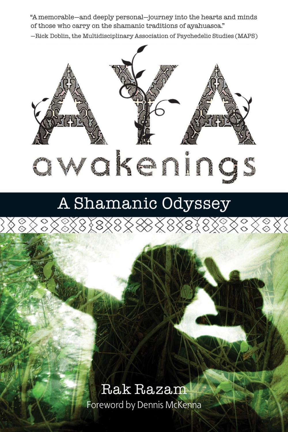 Big bigCover of Aya Awakenings