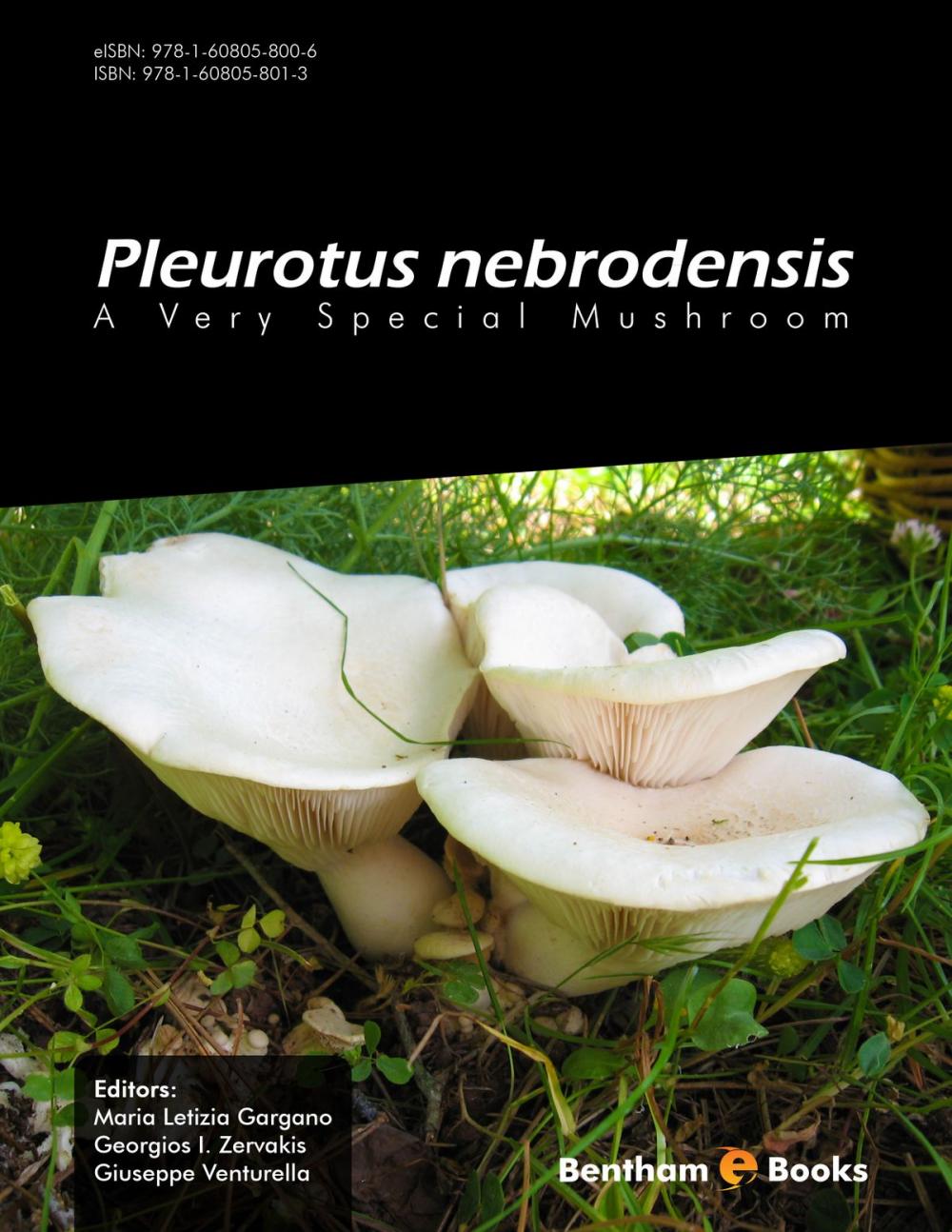 Big bigCover of Pleurotus Nebrodensis: A Very Special Mushroom