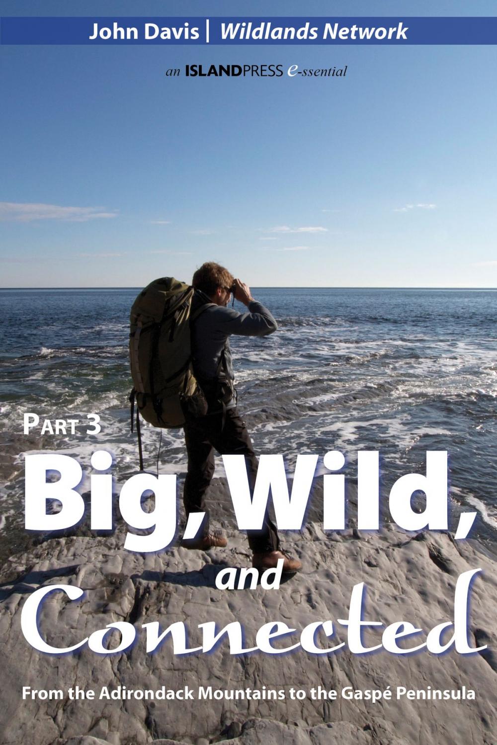 Big bigCover of Big, Wild, and Connected