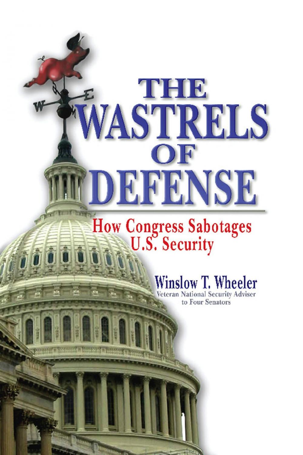 Big bigCover of The Wastrels of Defense