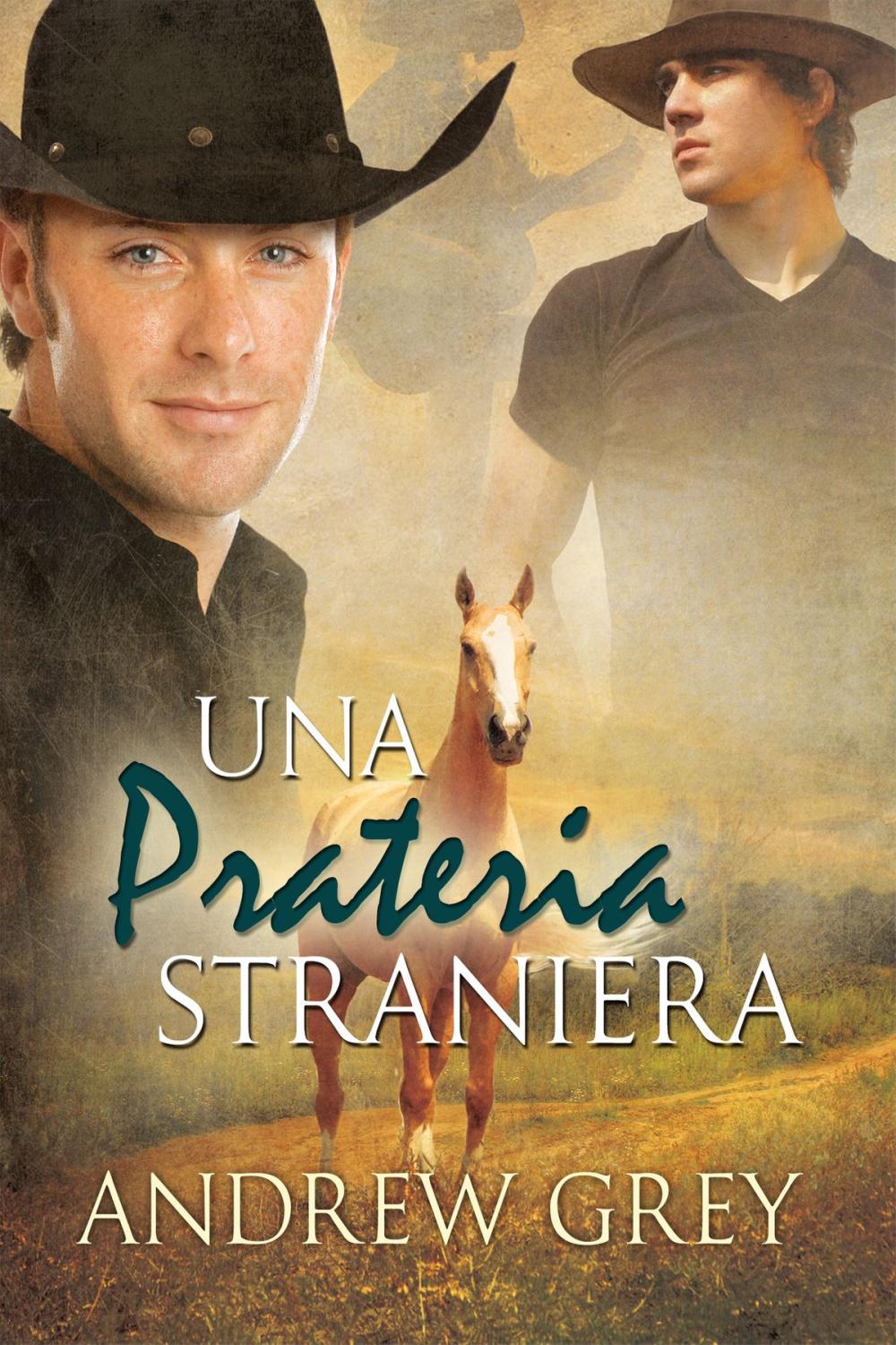 Big bigCover of Una prateria straniera