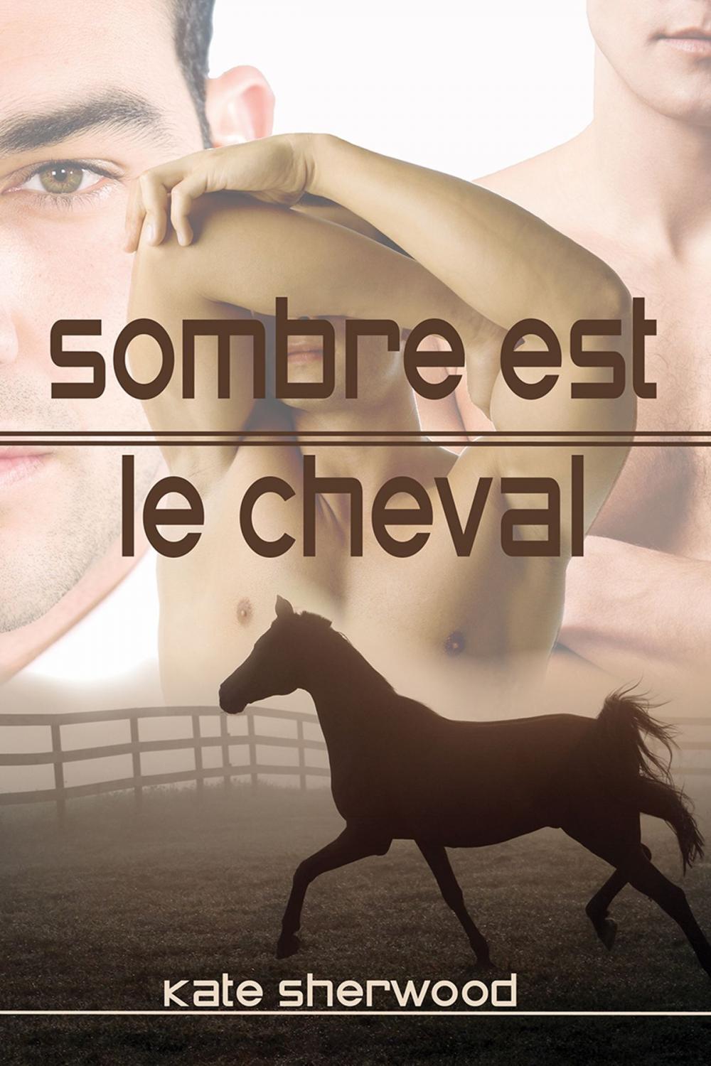 Big bigCover of Sombre est le cheval