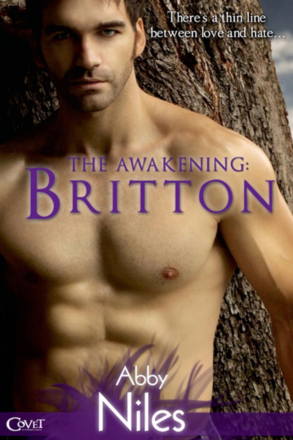 Big bigCover of The Awakening: Britton