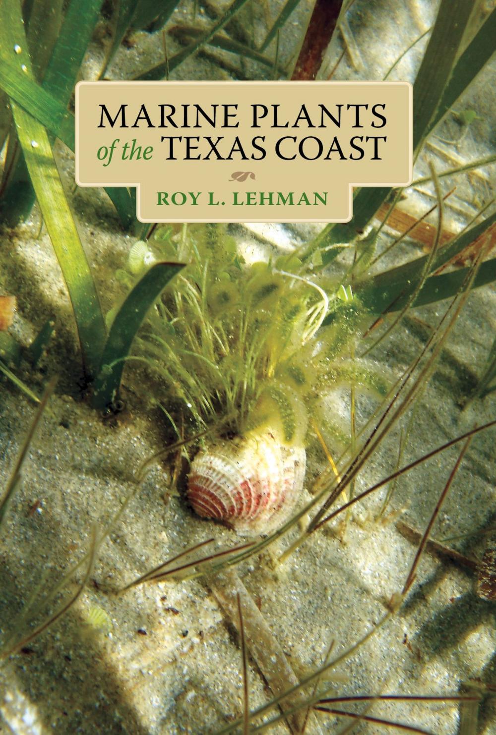 Big bigCover of Marine Plants of the Texas Coast