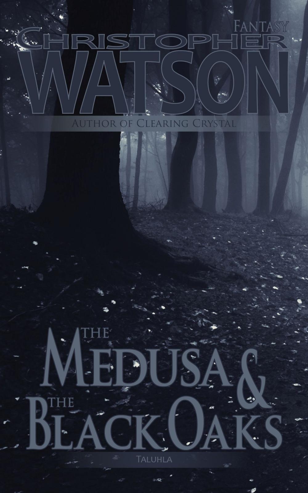 Big bigCover of The Medusa & The Black Oaks