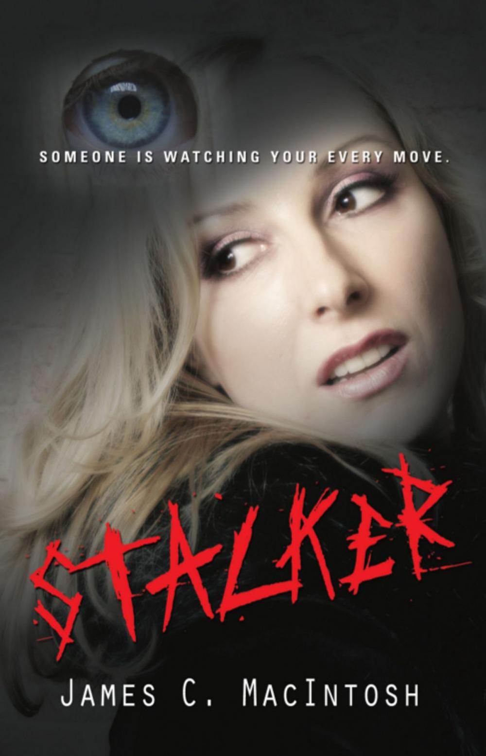 Big bigCover of Stalker