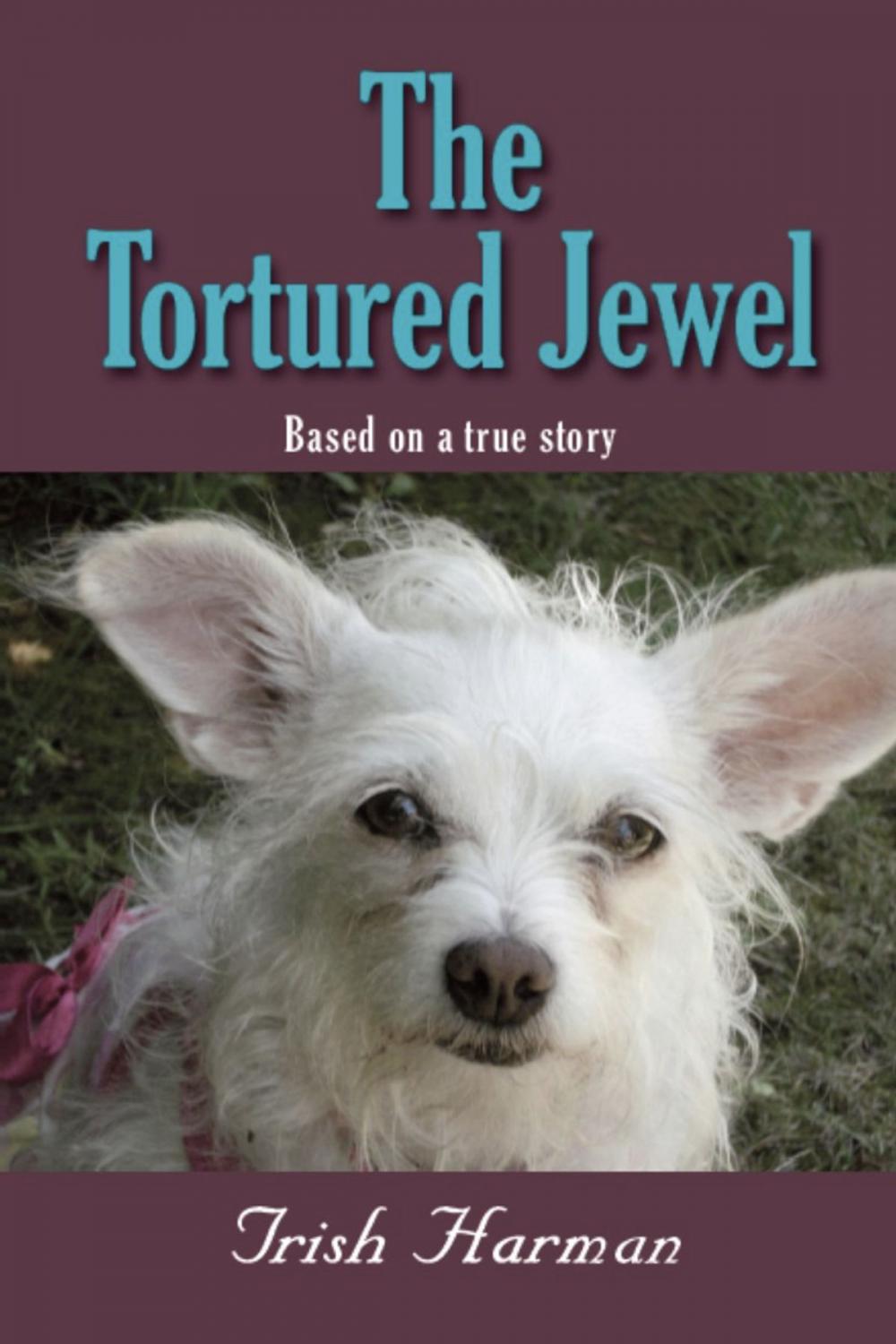 Big bigCover of The Tortured Jewel